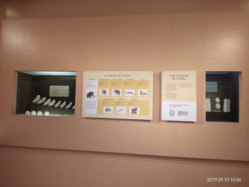 69924252_671161476738836_694799110036783104_n